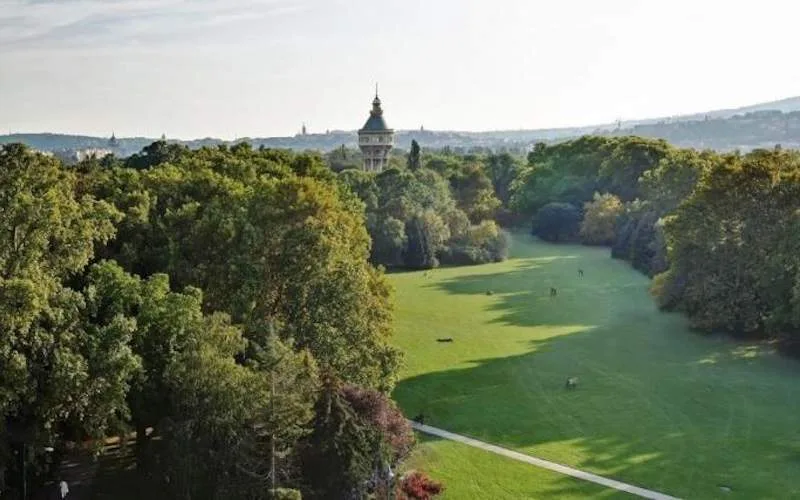 Your Option to Go on Margaret Island